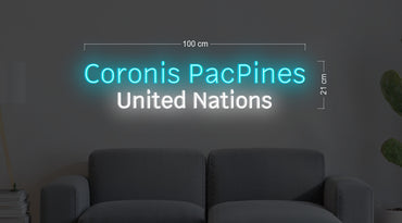 Enseigne au néon LED personnalisée pour entreprise