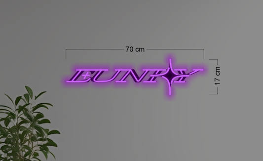 Enseigne au néon LED personnalisée pour entreprise