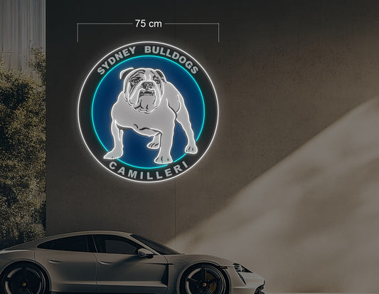 Enseigne au néon LED personnalisée pour entreprise