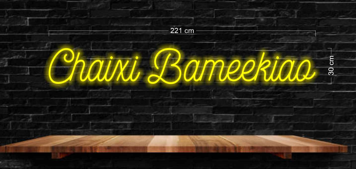 Enseigne au néon LED personnalisée pour entreprise