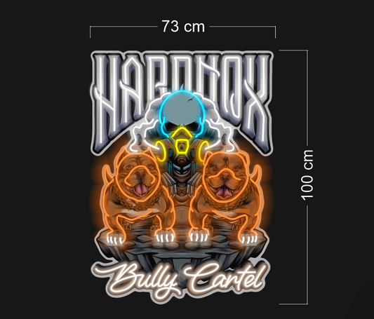 Enseigne au néon LED personnalisée pour entreprise