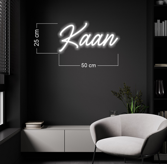 Enseigne au néon LED personnalisée pour entreprise
