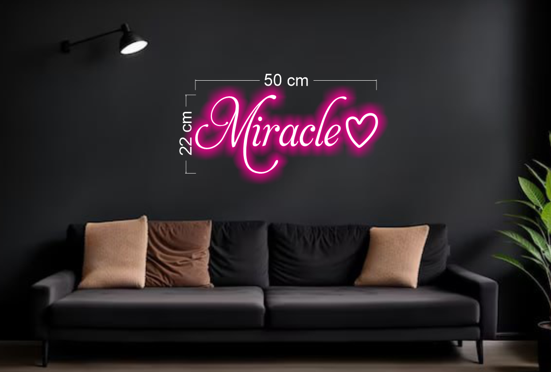 Enseigne au néon LED personnalisée pour entreprise
