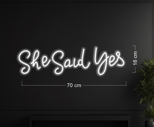 Enseigne au néon LED personnalisée pour entreprise