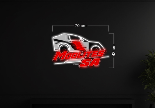 Enseigne au néon LED personnalisée pour entreprise