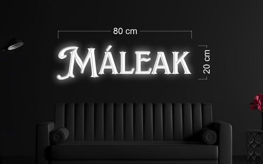 Enseigne au néon LED personnalisée pour entreprise