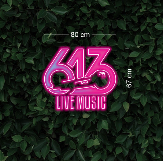 Enseigne au néon LED personnalisée pour entreprise