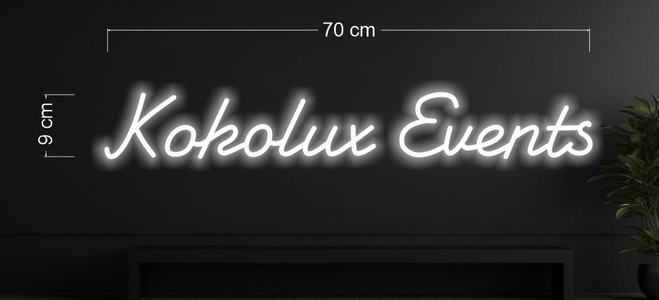 Enseigne au néon LED personnalisée pour entreprise