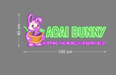 Enseigne au néon LED personnalisée pour entreprise