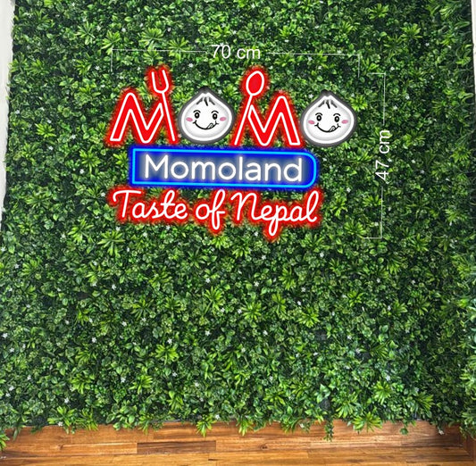 Enseigne au néon LED personnalisée pour entreprise