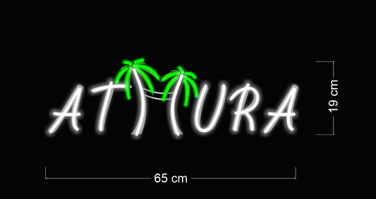 Enseigne au néon LED personnalisée pour entreprise