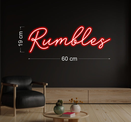 Enseigne au néon LED personnalisée pour entreprise