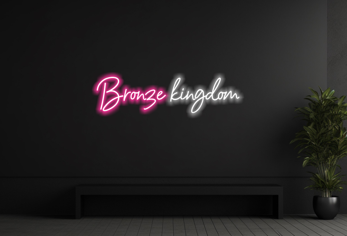 Enseigne au néon LED personnalisée pour entreprise