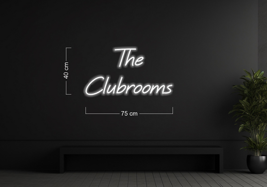 Enseigne au néon LED personnalisée pour entreprise