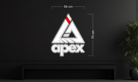 Enseigne au néon LED personnalisée pour entreprise