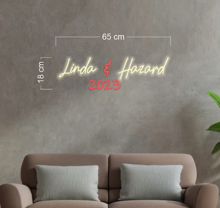 Enseigne au néon LED personnalisée pour entreprise