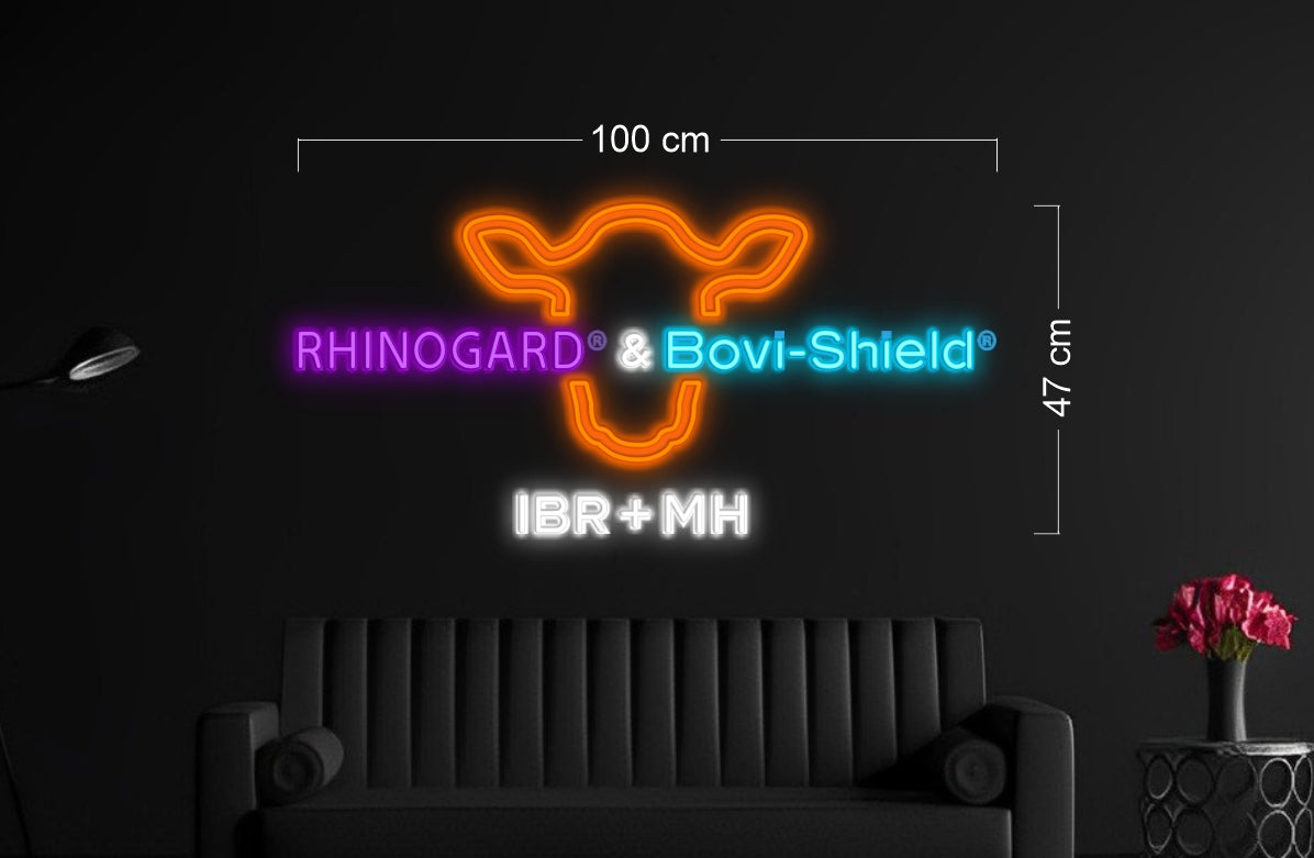 Enseigne au néon LED personnalisée pour entreprise