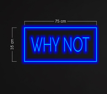 Enseigne au néon LED personnalisée pour entreprise