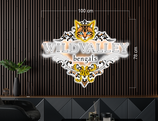 Enseigne au néon LED personnalisée pour entreprise