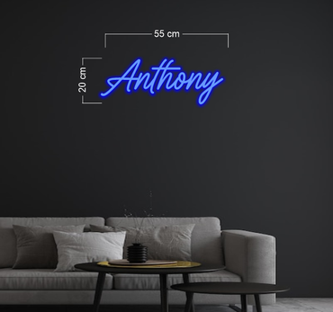 Enseigne au néon LED personnalisée pour entreprise 