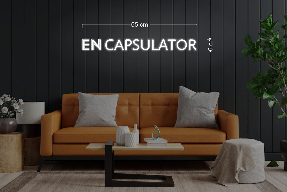 Enseigne au néon LED personnalisée pour entreprise 