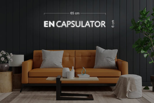 Enseigne au néon LED personnalisée pour entreprise 
