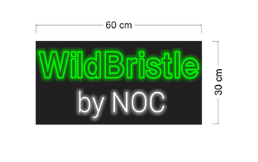 Enseigne au néon LED personnalisée pour entreprise 
