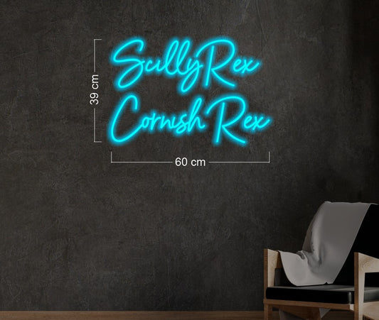 Enseigne au néon LED personnalisée pour entreprise 