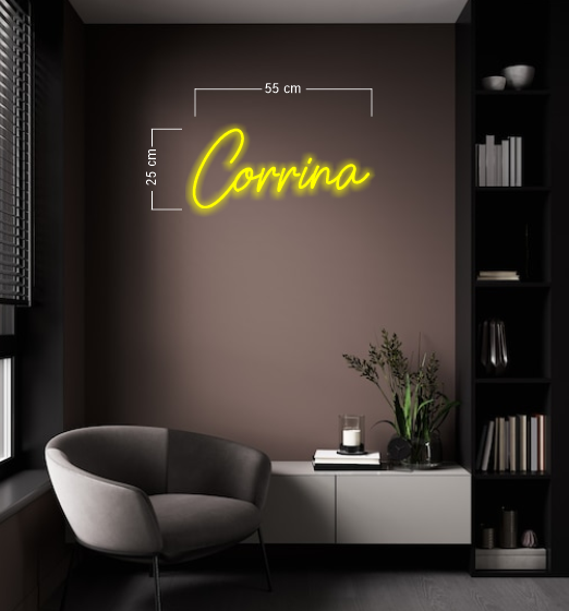 Enseigne au néon LED personnalisée pour entreprise 
