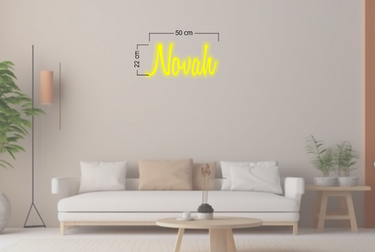Enseigne au néon LED personnalisée pour entreprise 