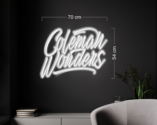 Enseigne au néon LED personnalisée pour entreprise 