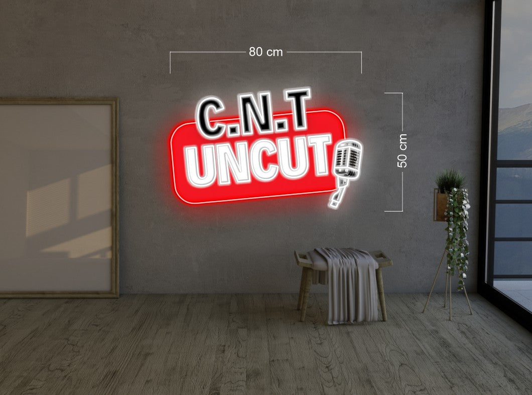 Enseigne au néon LED personnalisée pour entreprise 