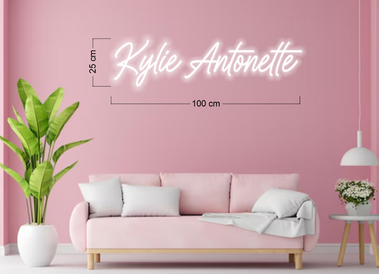 Enseigne au néon LED personnalisée pour entreprise 