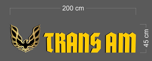 TRANS AM | LIGHT BOX