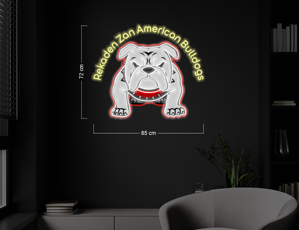 Enseigne au néon LED personnalisée pour entreprise 
