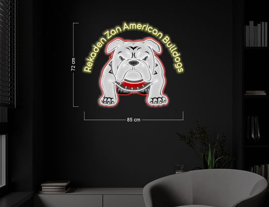 Enseigne au néon LED personnalisée pour entreprise 