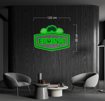 Enseigne au néon LED personnalisée pour entreprise 
