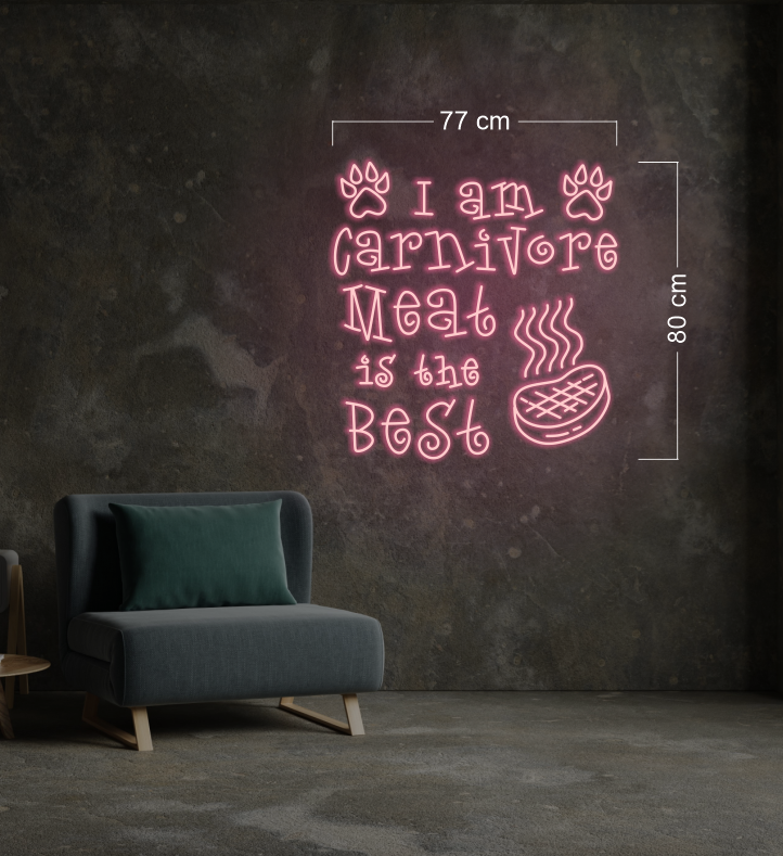 Enseigne au néon LED personnalisée pour entreprise 